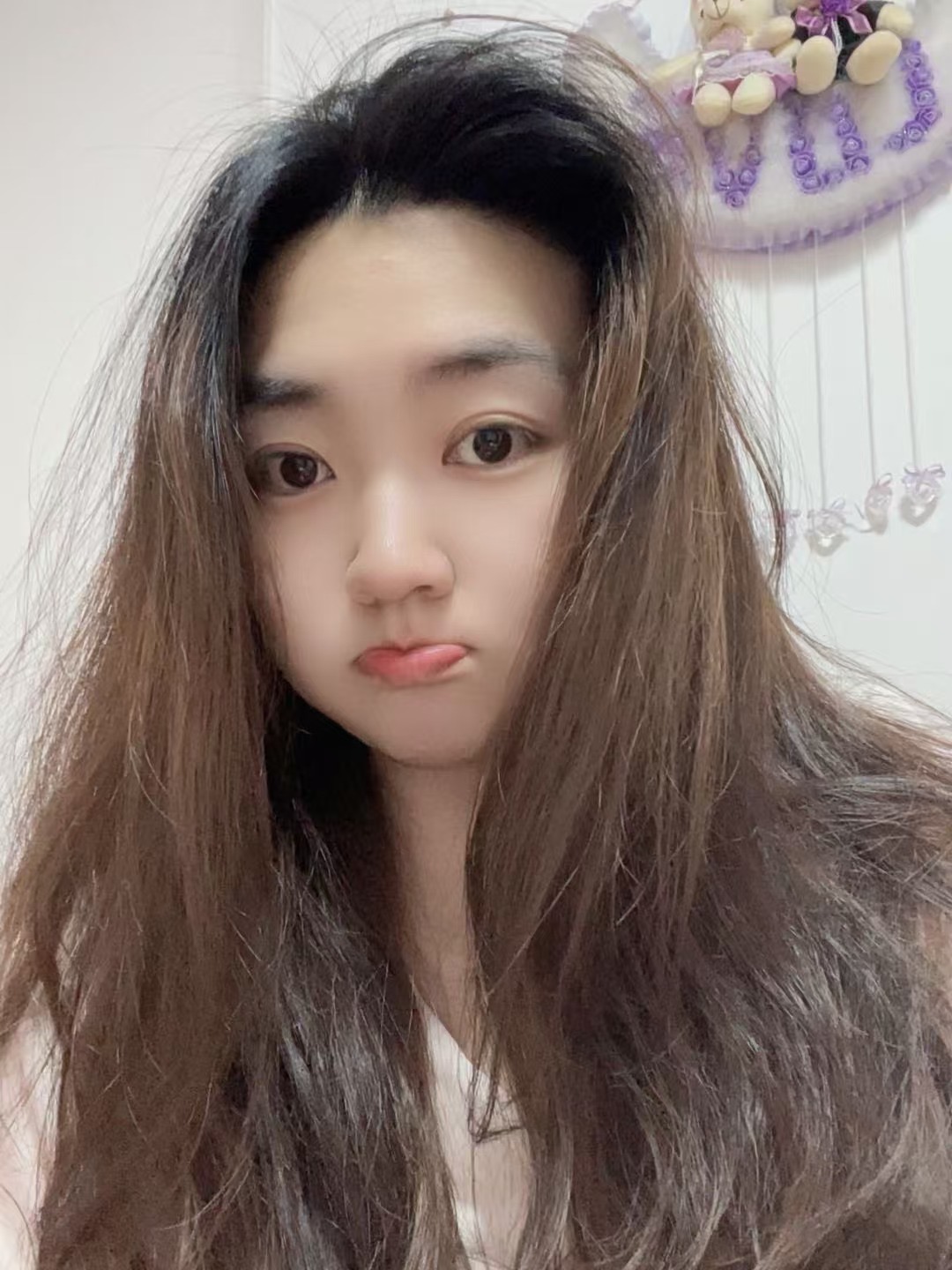 燕子